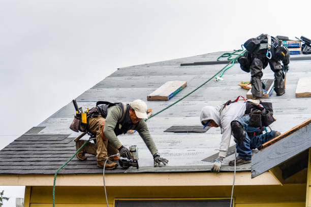 Professional Roofing technician working in Hill, NH